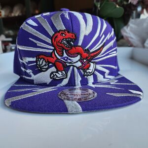 Toronto Raptors Mitchell & Ness Purple Hardwood Classics Earthquake Snapback Hat